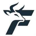 Finnbull Logo